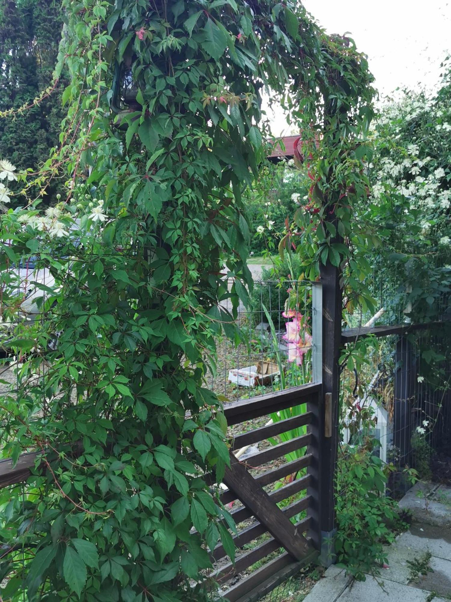Guesthouse With Sauna Лахти Екстериор снимка